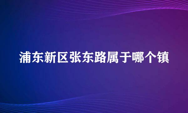 浦东新区张东路属于哪个镇