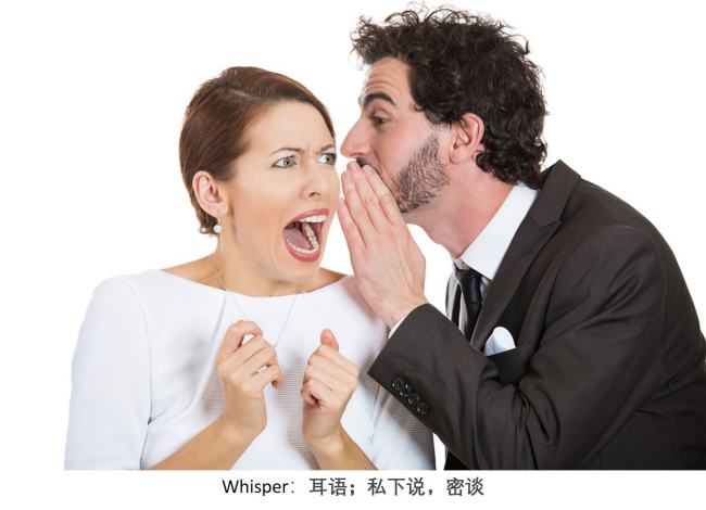 whisperer什么意思