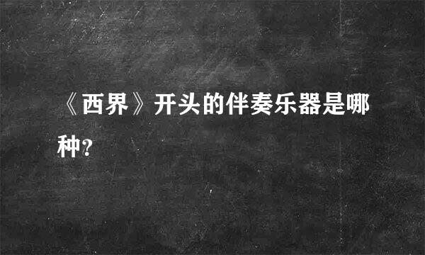 《西界》开头的伴奏乐器是哪种？