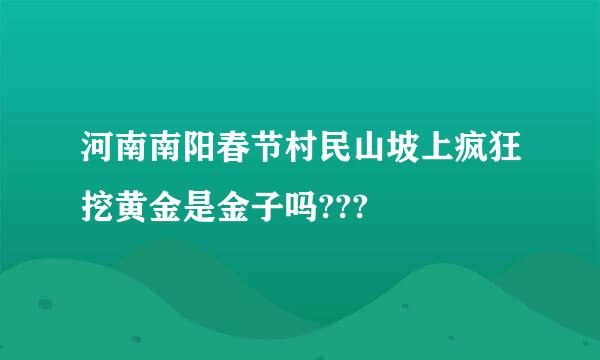 河南南阳春节村民山坡上疯狂挖黄金是金子吗???