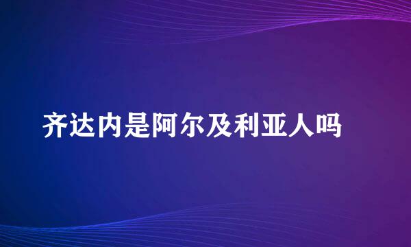 齐达内是阿尔及利亚人吗﹖