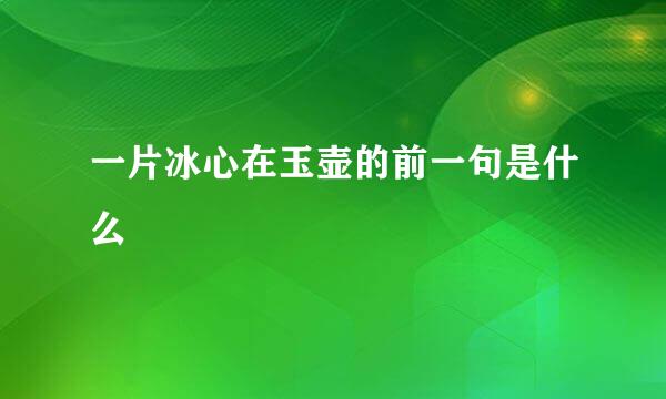 一片冰心在玉壶的前一句是什么