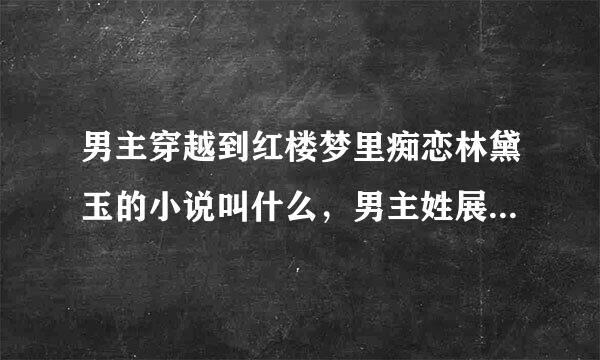 男主穿越到红楼梦里痴恋林黛玉的小说叫什么，男主姓展，是个将军。