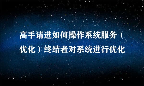 高手请进如何操作系统服务（优化）终结者对系统进行优化