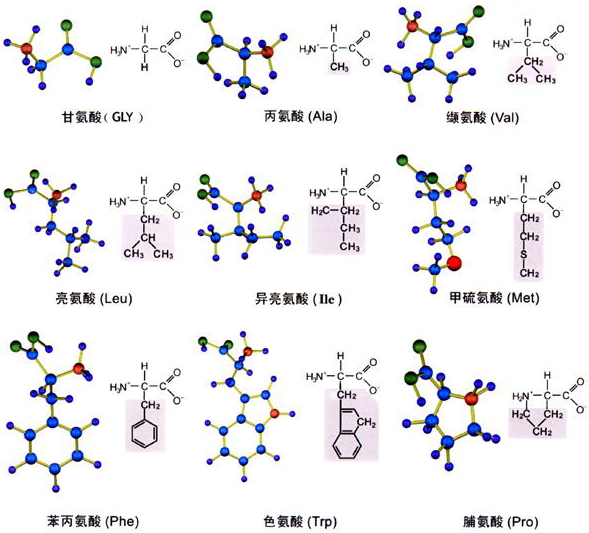 生物的基本特征是什么？