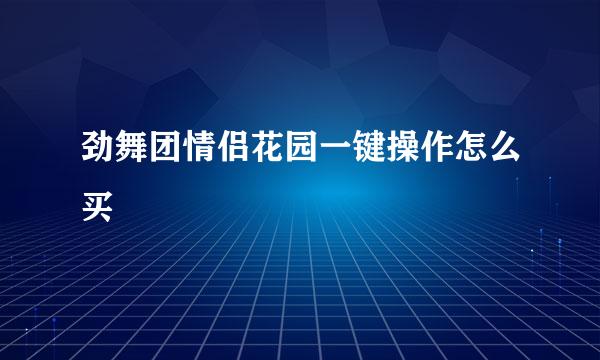 劲舞团情侣花园一键操作怎么买