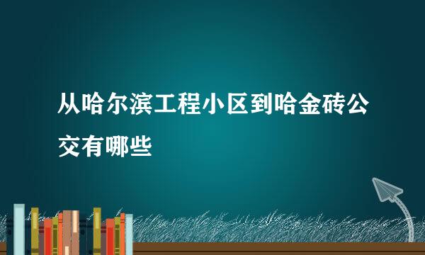 从哈尔滨工程小区到哈金砖公交有哪些