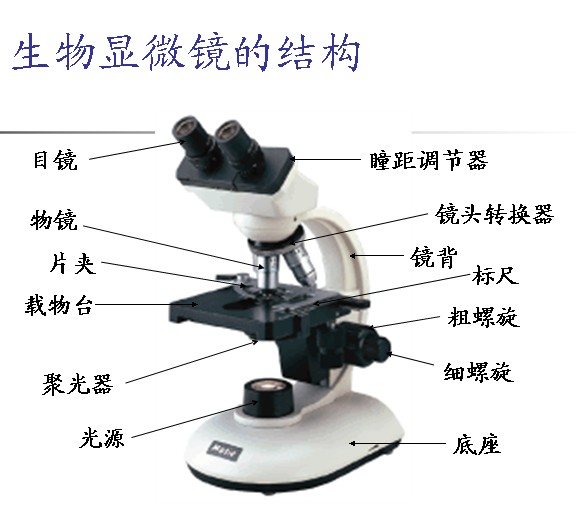 显微镜的原理是什么？