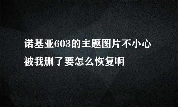 诺基亚603的主题图片不小心被我删了要怎么恢复啊