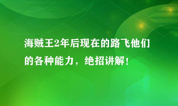 海贼王2年后现在的路飞他们的各种能力，绝招讲解！