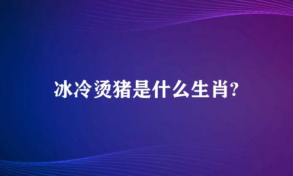 冰冷烫猪是什么生肖?