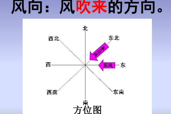 风从哪个方向来