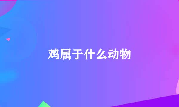 鸡属于什么动物