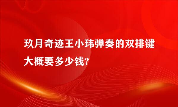 玖月奇迹王小玮弹奏的双排键大概要多少钱?