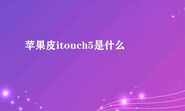 苹果皮itouch5是什么