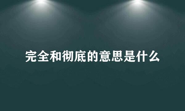 完全和彻底的意思是什么