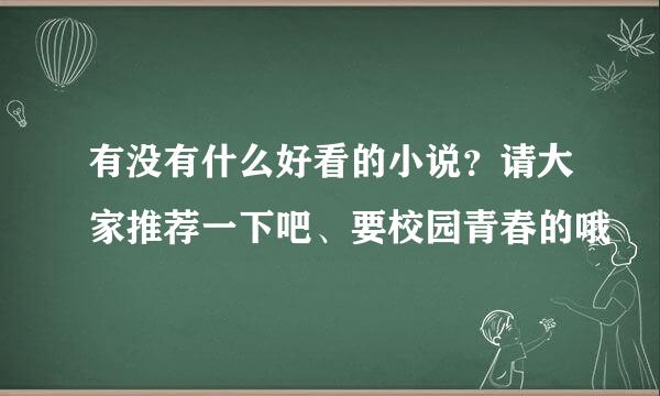 有没有什么好看的小说？请大家推荐一下吧、要校园青春的哦