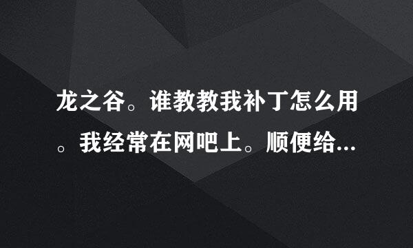 龙之谷。谁教教我补丁怎么用。我经常在网吧上。顺便给几个补丁。弓箭手。法师都可以