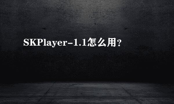 SKPlayer-1.1怎么用？