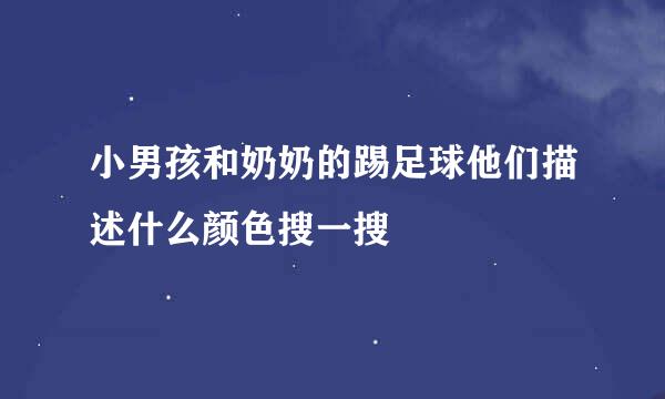 小男孩和奶奶的踢足球他们描述什么颜色搜一搜