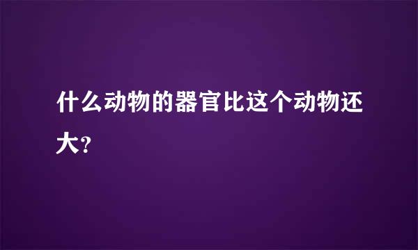 什么动物的器官比这个动物还大？