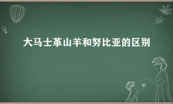 大马士革山羊和努比亚的区别