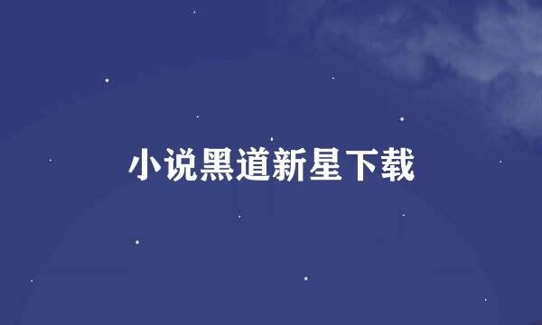 小说黑道新星下载