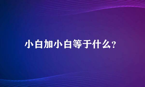 小白加小白等于什么？