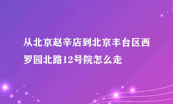 从北京赵辛店到北京丰台区西罗园北路12号院怎么走