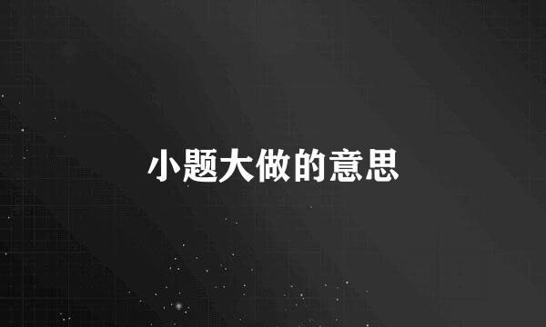 小题大做的意思