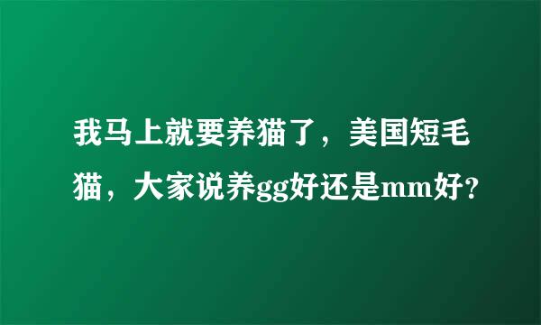 我马上就要养猫了，美国短毛猫，大家说养gg好还是mm好？