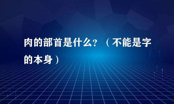 肉的部首是什么？（不能是字的本身）