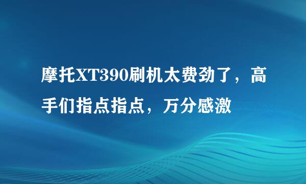 摩托XT390刷机太费劲了，高手们指点指点，万分感激