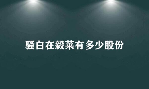 骚白在毅莱有多少股份