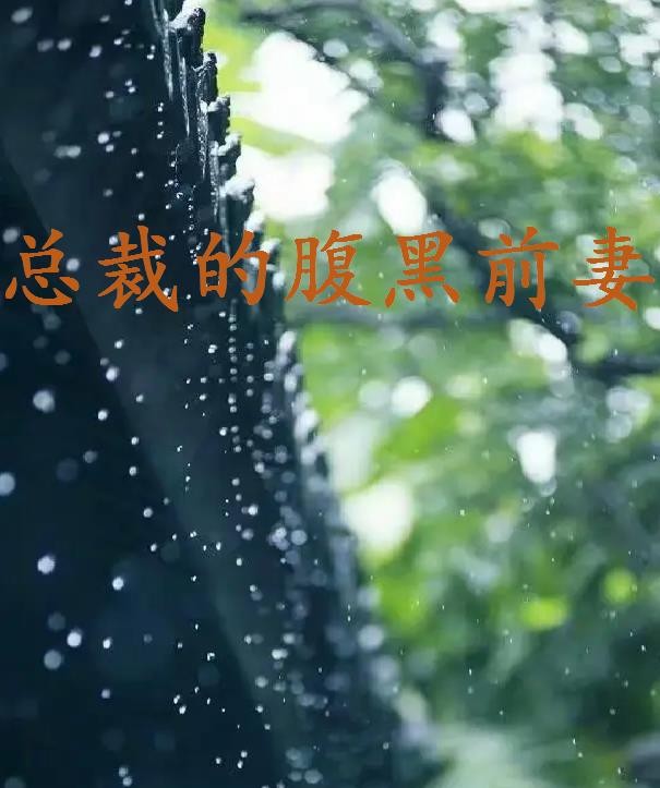 《总裁的腹黑前妻》txt下载在线阅读全文，求百度网盘云资源