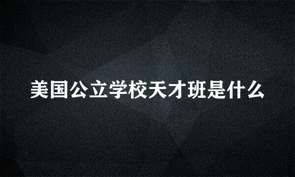 美国公立学校天才班是什么