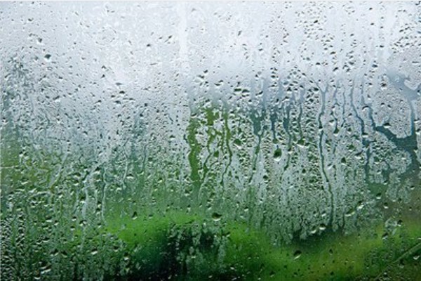 雨的笔画顺序怎么写