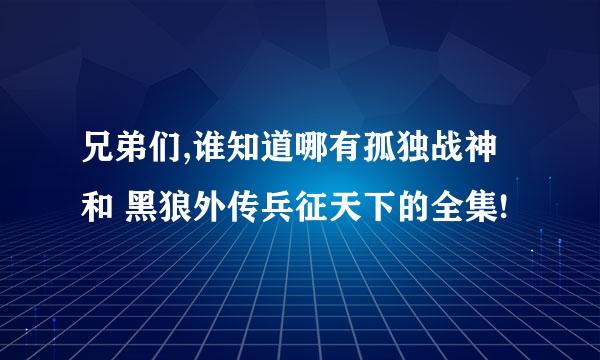 兄弟们,谁知道哪有孤独战神和 黑狼外传兵征天下的全集!