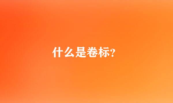 什么是卷标？