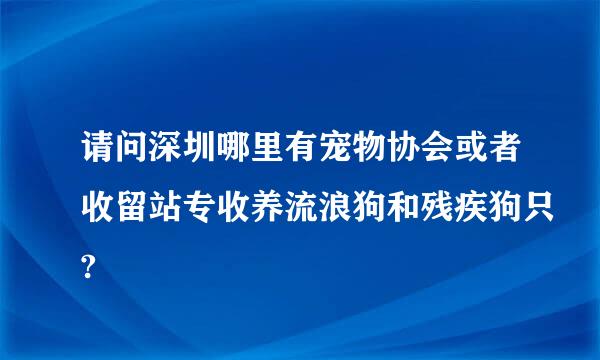 请问深圳哪里有宠物协会或者收留站专收养流浪狗和残疾狗只?