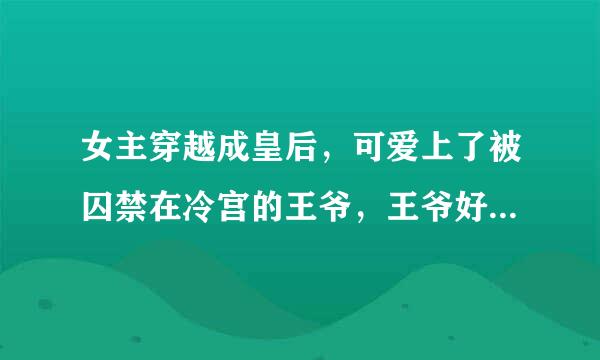 女主穿越成皇后，可爱上了被囚禁在冷宫的王爷，王爷好像是皇上的哥哥，求小说名