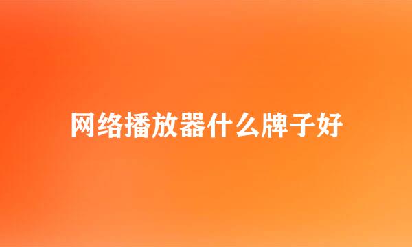 网络播放器什么牌子好