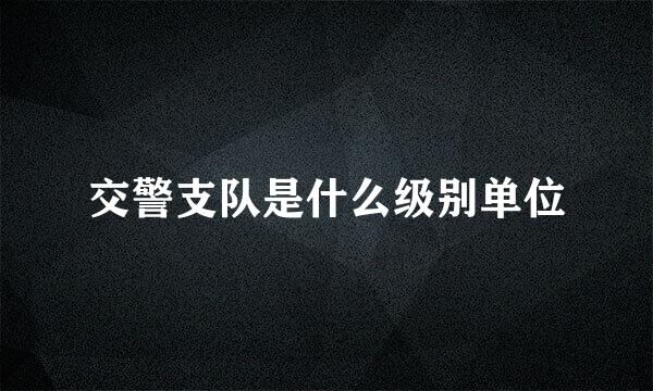 交警支队是什么级别单位