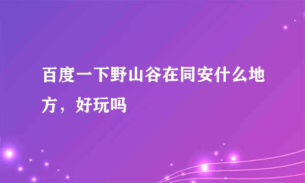 百度一下野山谷在同安什么地方，好玩吗