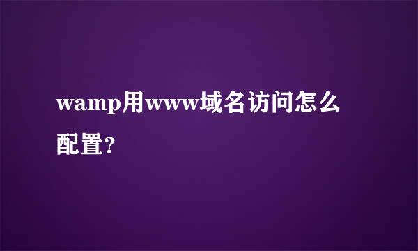 wamp用www域名访问怎么配置？