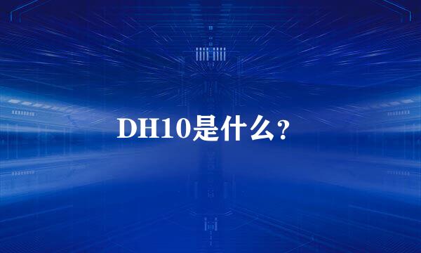 DH10是什么？