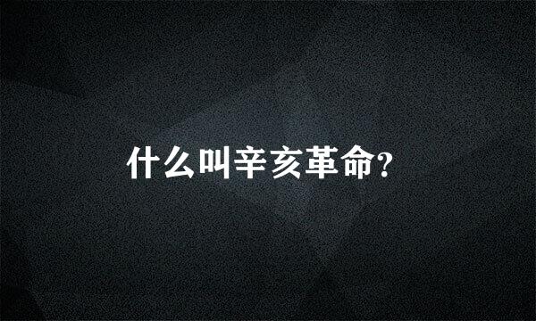 什么叫辛亥革命？