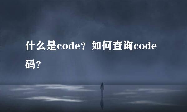 什么是code？如何查询code码？