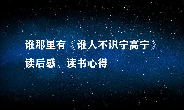 谁那里有《谁人不识宁高宁》读后感、读书心得