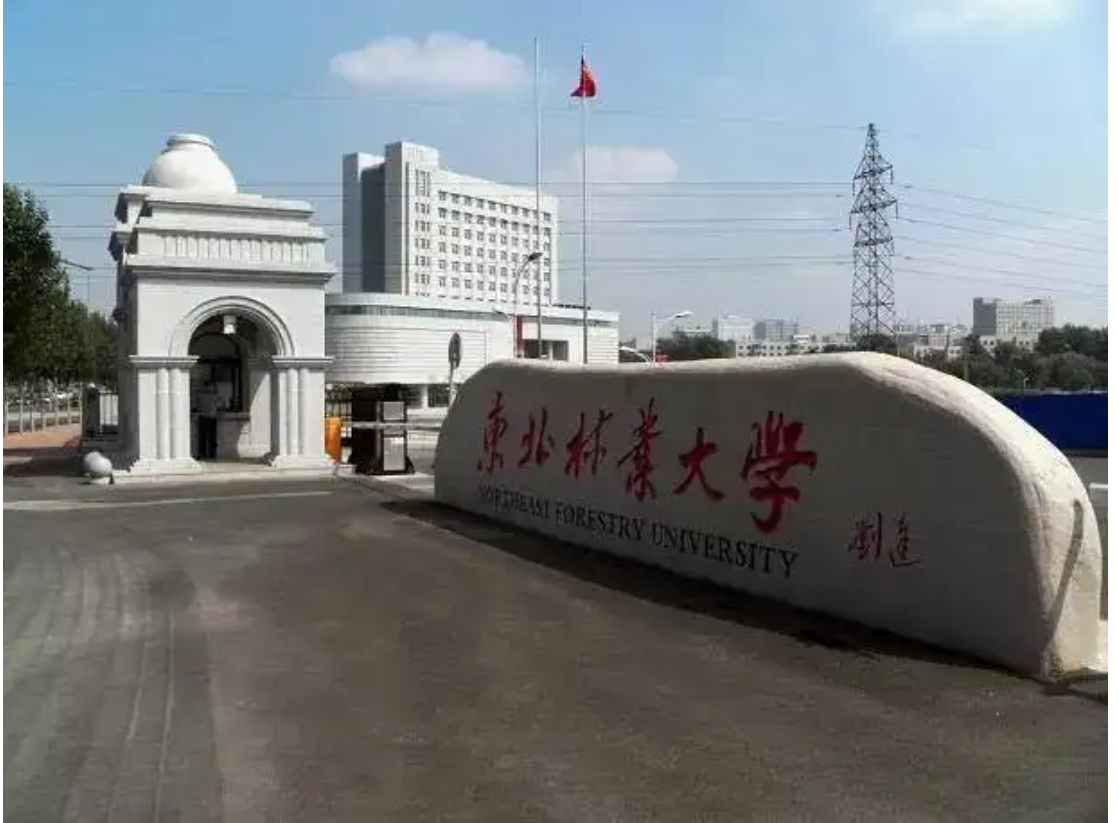 东北林业大学地址